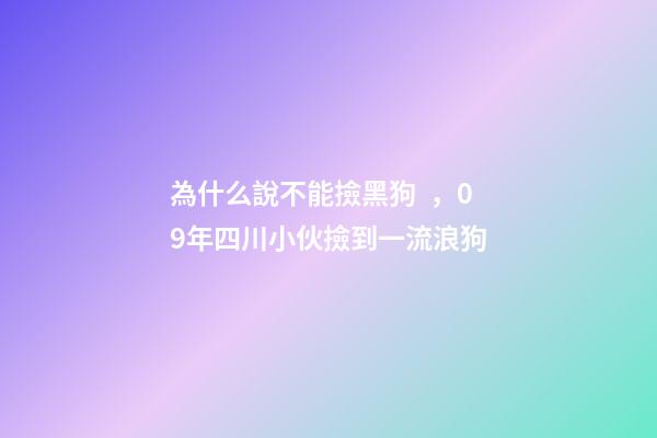 為什么說不能撿黑狗，09年四川小伙撿到一流浪狗-第1張-觀點(diǎn)-玄機(jī)派